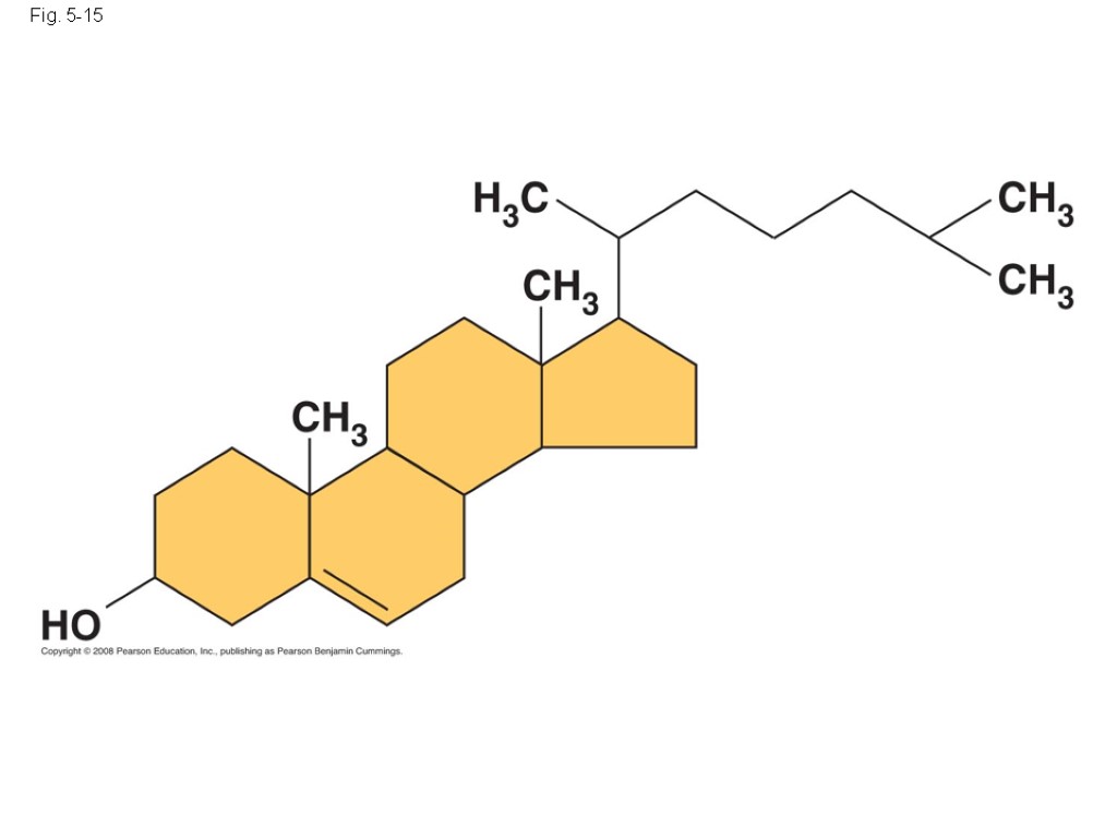 Fig. 5-15